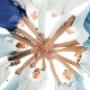 S.a.s Soc.Coop.Sociale Onlus
