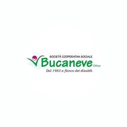 Bucaneve (Soc.coop.r.l.)