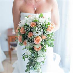 Siciliana Fiori Di Ferrante Ettore Vivaio Piante E Fiori