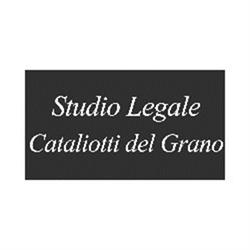 Avvocato Penalista Palermo - AVV. ANTONIA FRANCESCA FERINA