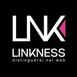 Linkness SRL