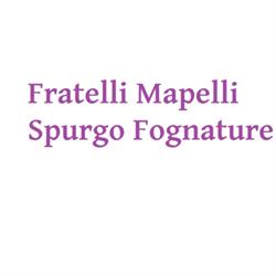 Fratelli Mapelli Spurgo Fognature E Pozzi Neri