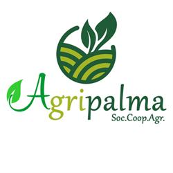 Agripalma