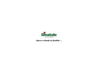 Dinatale S.n.c. Di Dinatale Nicola Michele e C.