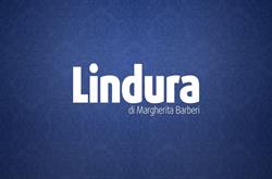Impresa Di Pulizia Lindura Di Barberi Margherita