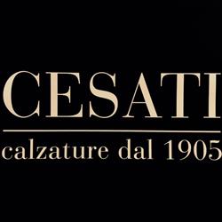 CALZATURE CESATI S.A.S. DI CESATI E.e C.