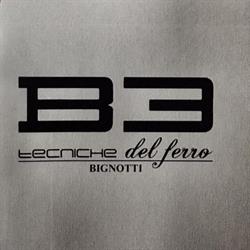 Bignotti Tecniche Del Ferro