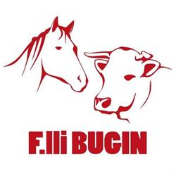 Macelleria Equina Bovina Fratelli Bugin Snc