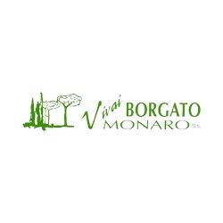 Vivai Borgato Monaro Ss