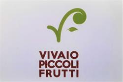 Vivaio Piccoli Frutti SRL