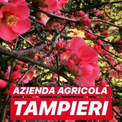 Az. Agr. Tampieri