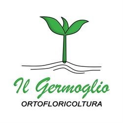 Ortofloricoltura Il Germoglio