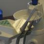 Dentista