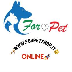 Forsinetti S.r.l.s.