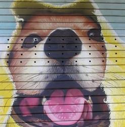 Shampoo Dog Di Paolo Di Felice