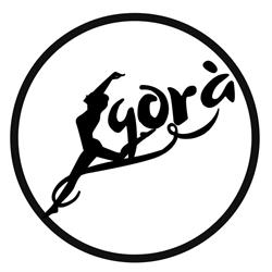Ginnastica Agora' Societa' Sportiva Dilettantistica A Responsabilita'