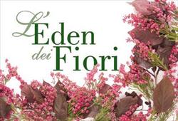 Fiori E Piante L' Eden Dei Fiori Scaringella Luigi