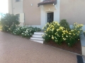 Giardino Alessandria Vivaio il Boschetto  Giardino Alessandria Vivaio il Boschetto