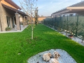 Giardino Alessandria Vivaio il Boschetto