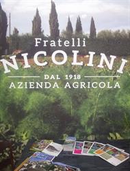 Azienda Agricola Nicolini Antonino
