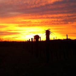 Azienda Agricola Maurizio Zaccomer