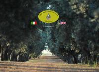 Sito di Azienda Agricola Margheriti Emanuele