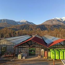 Azienda Agricola Carnia Fiori e Piante