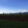 Azienda Agricola La Fuea