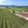 Azienda Agricola La Fuea