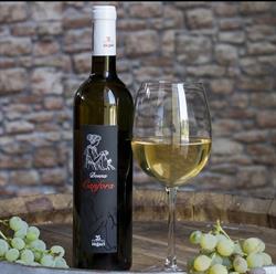Cantine Zagari