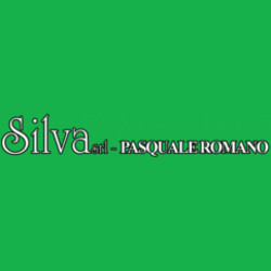Silva Romano Pasquale
