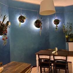 Caffe' Mazzini Di Daniele Bozzini