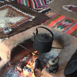 Shanti Tappeti Persiani Di Danaei Alireza