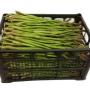 Asparagi