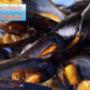 Cozze
