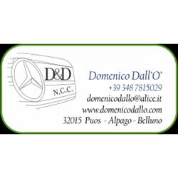 Domenico Dall' O' Noleggio con Conducente