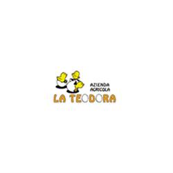 La Teodora