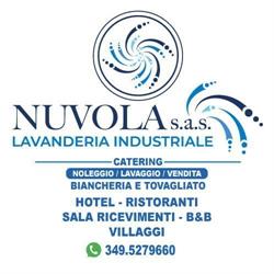Conte Donald Lavanderia Industriale Nuvola