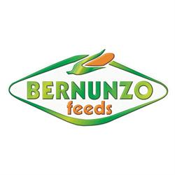 Bernunzo Mangimi