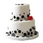 Cake Design