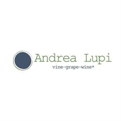 Andrea Lupi Enologo