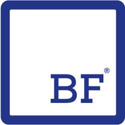 Bf Srl