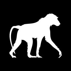 Baboon Studio Stampa Digitale