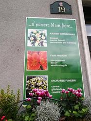 Fiori di Orio