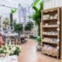 Gallery Professionale