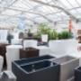 Gallery Professionale