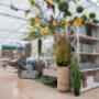 Gallery Professionale