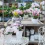 Gallery Professionale
