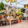 Gallery Professionale