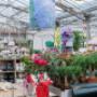 Gallery Professionale